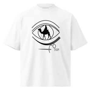 An Eye, A Camel, and the Needle